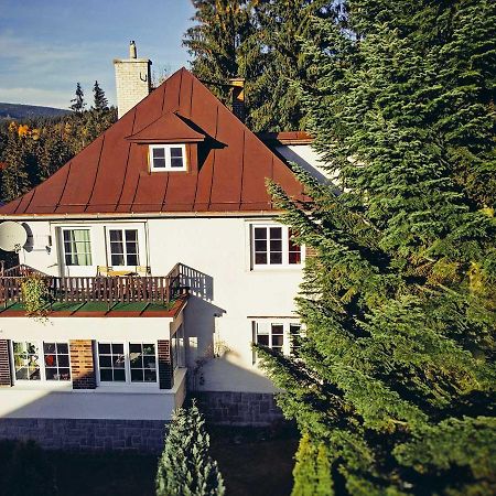 Dame Vam Pokoj - 4 Pokoje Se Sdilenou Kuchyni, Kapacita Max 9 Osob Harrachov Eksteriør billede