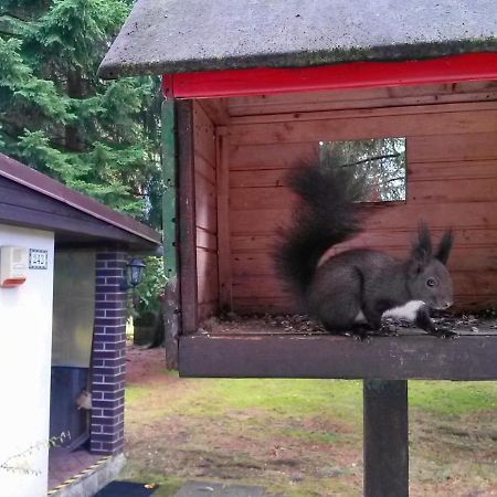 Dame Vam Pokoj - 4 Pokoje Se Sdilenou Kuchyni, Kapacita Max 9 Osob Harrachov Eksteriør billede