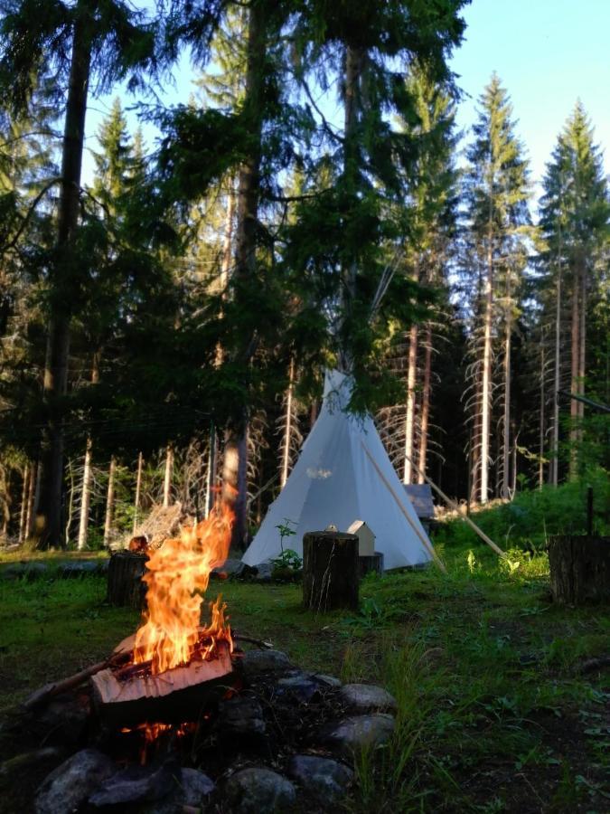 Dame Vam Pokoj - 4 Pokoje Se Sdilenou Kuchyni, Kapacita Max 9 Osob Harrachov Eksteriør billede