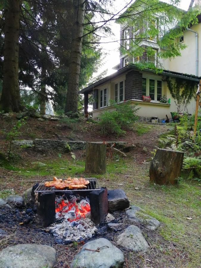 Dame Vam Pokoj - 4 Pokoje Se Sdilenou Kuchyni, Kapacita Max 9 Osob Harrachov Eksteriør billede