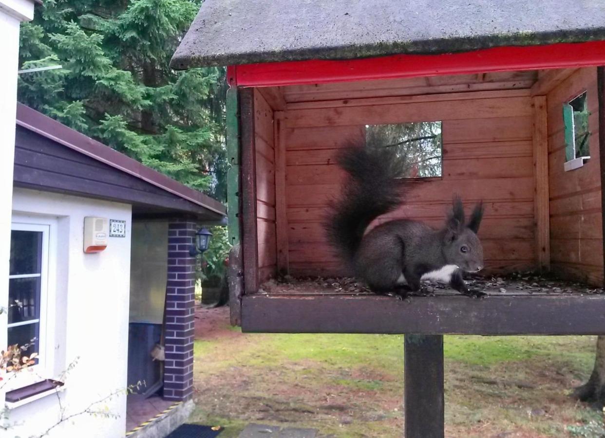 Dame Vam Pokoj - 4 Pokoje Se Sdilenou Kuchyni, Kapacita Max 9 Osob Harrachov Eksteriør billede